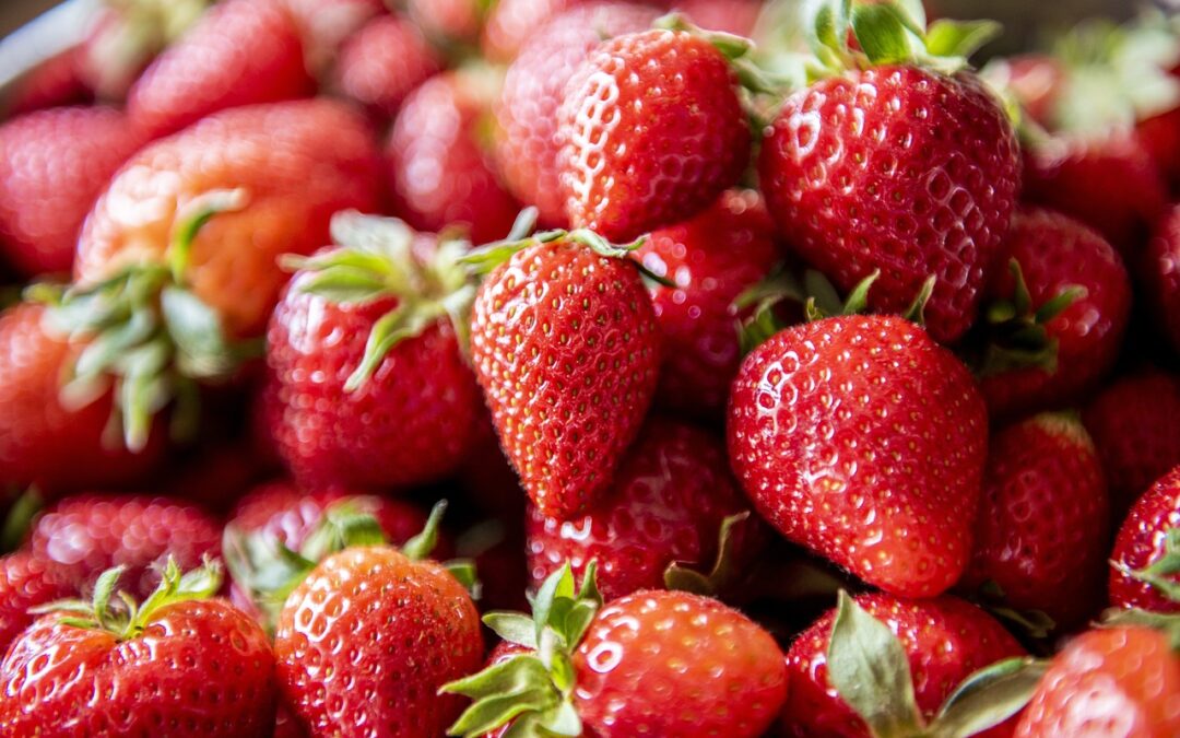 Grande fête de la fraise