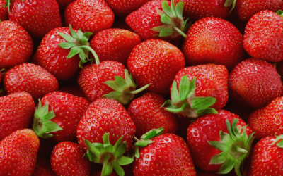 Grande fête de la fraise